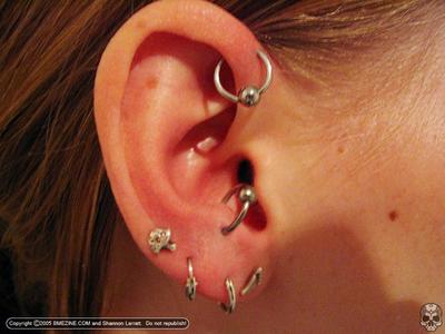antihélix+antitragus+lobes