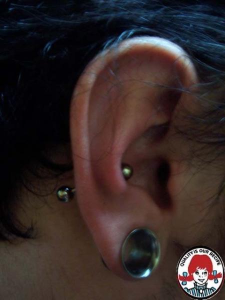 conch+lobe