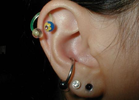 helix+innerconch+2lobes