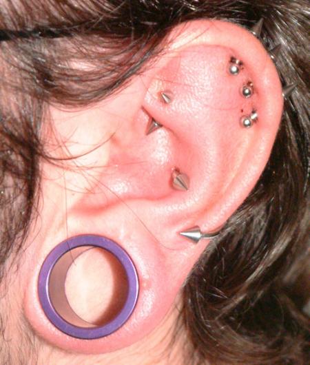 helix+rook+conch+lobe stretché